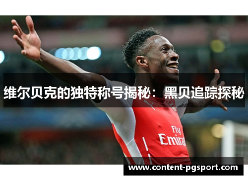 维尔贝克的独特称号揭秘:黑贝追踪探秘 维尔贝克的独特称号揭秘:黑贝追踪探秘